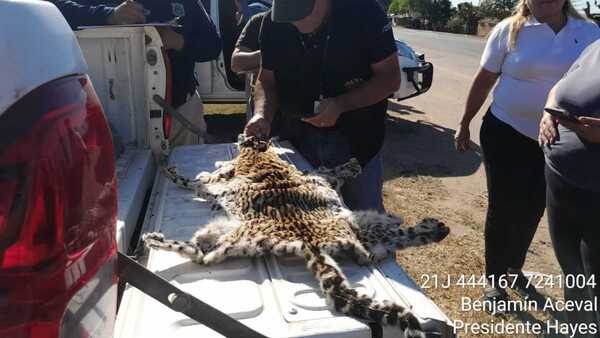 Pillan a una pareja de Luque con piel de tirica