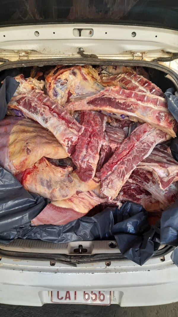 Diario HOY | Incautan 6.000 kilos de carne de contrabando: carga fue oculta en vehículos