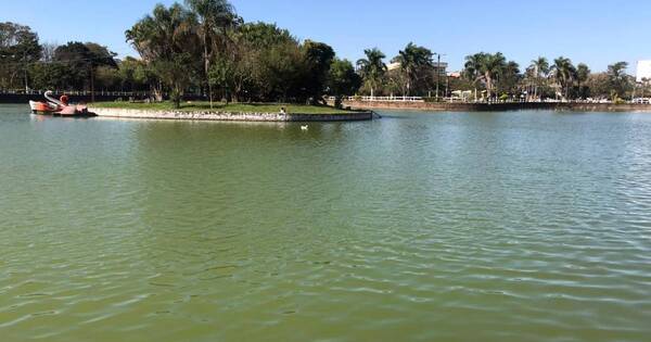 La Nación / Detectan contaminación de la histórica laguna Punta Porá de Pedro Juan Caballero