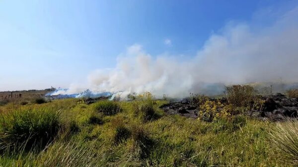 Controlan incendio de pastizal en San Antonio - Nacionales - ABC Color