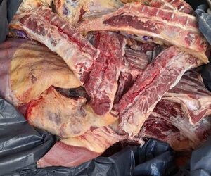 Incautan 6 toneladas de carne de contrabando