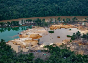 ¿Puede Brasil mantener a los mineros ilegales fuera de las tierras Yanomami?