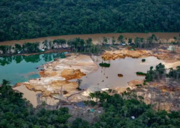 ¿Puede Brasil mantener a los mineros ilegales fuera de las tierras Yanomami?