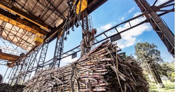 La Nación / Petropar inició zafra