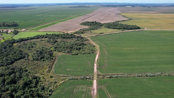 Everdem vende 2.503 hectáreas en San Pedro del Paraná: “Una oportunidad de inversión agrícola”