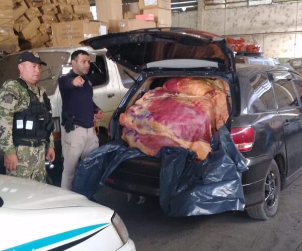 Incautan tres automóviles llenos de carne de contrabando en Tres Fronteras – Diario TNPRESS