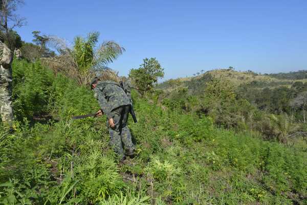 Diario HOY | Paraguay y Brasil detectan 78 toneladas de droga