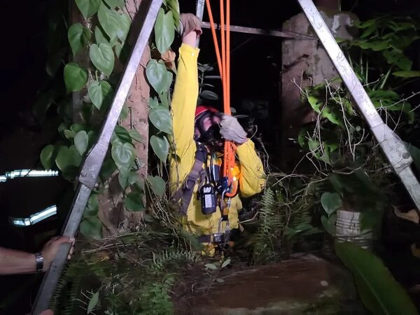 Una gatita quedó atrapada en un pozo de 15 metros y los bomberos pudieron rescatarla, tras dos días - Mascotas - ABC Color