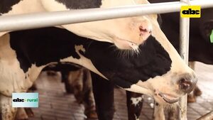 Video: Probal dijo presente en Expo Cooprolanda - ABC Rural - ABC Color