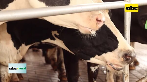 Video: Probal dijo presente en Expo Cooprolanda - ABC Rural - ABC Color