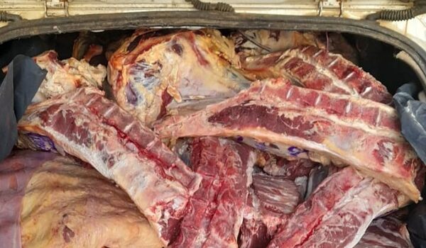 Incautan 3 vehículos en control: hallan 6 toneladas de carne de contrabando