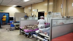 Disminuyeron casos de chikungunya y dengue