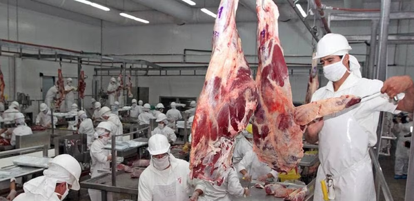 Envíos de carne vacuna caen al cierre del primer semestre