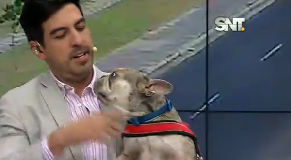 Espacio para nuestras mascotas en la mañana - SNT