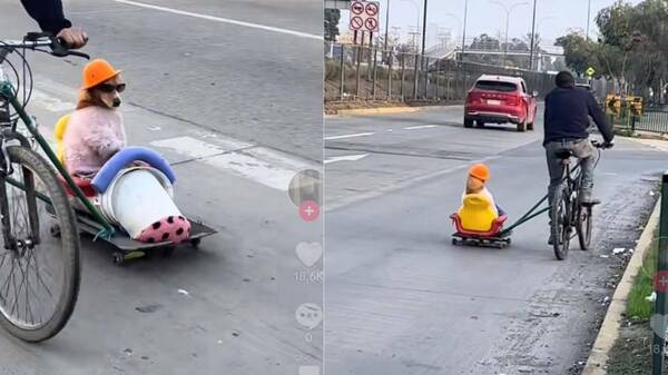 [VIDEO] Y ya lo ve, y ya lo ve… es para Coraje que lo mira por Tv: Darko, el perro “fashion”
