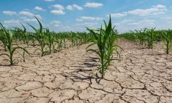 La ONU pidió anticipar las consecuencias del fenómeno meteorológico El Niño "para salvar vidas" - .::Agencia IP::.