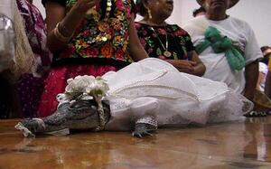 Diario HOY | Alcalde mexicano contrae matrimonio con caimán hembra