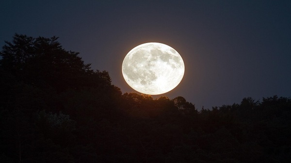 ¡Magnífica Superluna de ciervo! Será vista nuevamente hoy - Noticias Paraguay