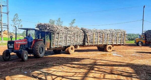 Petropar inicia la zafra cañera