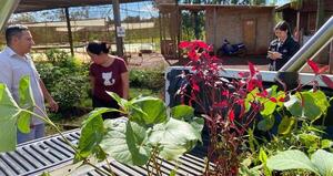 Vendedores de plantas medicinales se capacitaron en producción sostenible