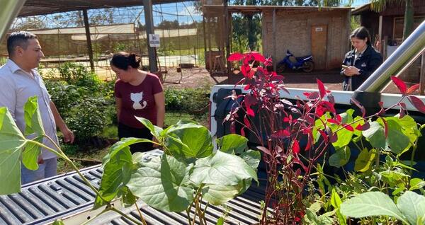 Vendedores de plantas medicinales se capacitaron en producción sostenible