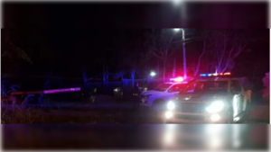 Luque: Grabación de heladería permite detener a presunto asaltante.