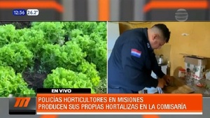 Policías de Misiones producen sus propias hortalizas en subcomisaría