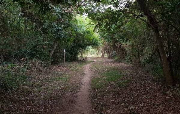 Feria Invernal del Bosque Encantado se realizará el sábado 8 y el domingo 9 de julio  | Lambaré Informativo