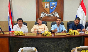Productores de piña y banana denuncian falta de pago por exportaciones a Argentina - OviedoPress