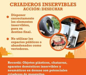 Se registra una reducción importante de casos de chikungunya y dengue