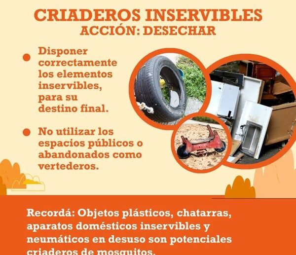 Se registra una reducción importante de casos de chikungunya y dengue