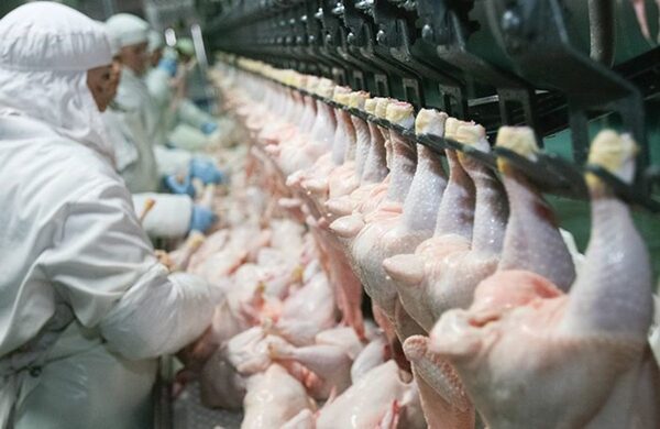 USDA logra levantar la prohibición colombiana de importar carne de aves de EE.UU.