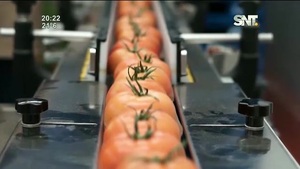 Día de la Gastronomía Sostenible - SNT