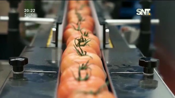 Día de la Gastronomía Sostenible - SNT