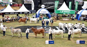 Cerca de 2.000 animales mostrarán el potencial de la ganadería nacional en la Expo MRA