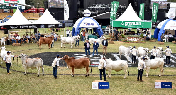 Cerca de 2.000 animales mostrarán el potencial de la ganadería nacional en la Expo MRA