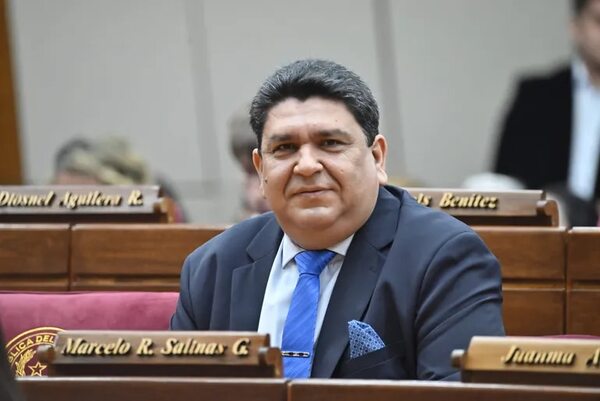 PLRA se divide en tres bancadas en Cámara de Diputados - Política - ABC Color