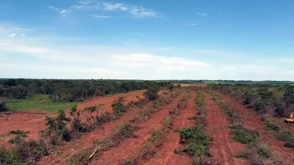Histórico juicio por deforestación en San Pedro se inicia en San Pedro - Política - ABC Color