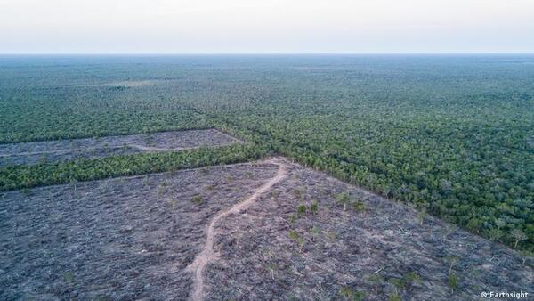 ONU condena práctica agrícola en Paraguay