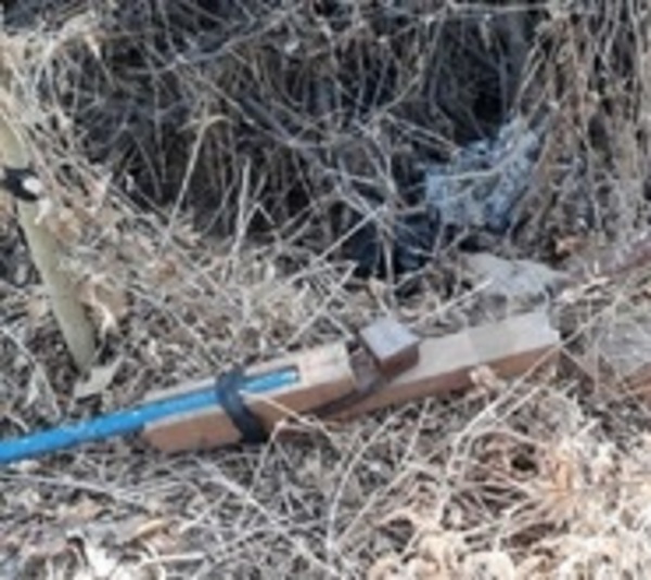 Itakyry: Murió baleado tras caer en trampa de caza - Paraguay.com