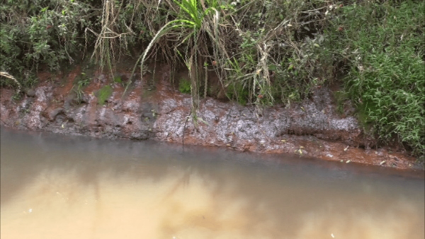 Vecinos denuncian supuesta contaminación de arroyo