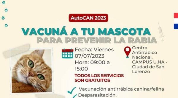 Perros y gatos podrán acceder a la vacunación antirrábica gratuita este viernes. – Prensa 5