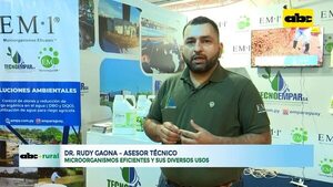 Video: Microorganismos eficientes y sus diversos usos - ABC Rural - ABC Color