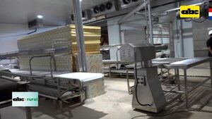 Video: Preparan nuevo frigorífico para cerdos - ABC Rural - ABC Color
