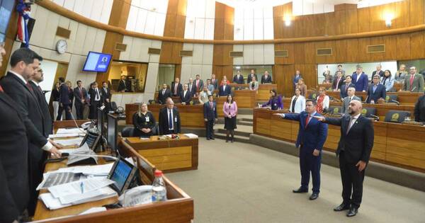 La Nación / Diputados designaron a representantes ante el JEM y Consejo de la Magistratura