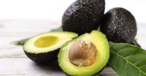 La Nación / Estos son los mejores alimentos para el cerebro, según una experta de Harvard
