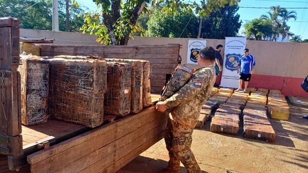Requisan más de 6.000 kilos de marihuana en la reserva de Itaipú - ABC en el Este - ABC Color