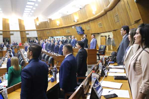 Diario HOY | Diputados designan a sus representantes para organismos extrapoderes
