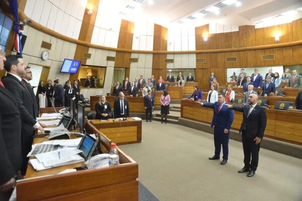 Diputados de ANR acaparan el Jurado y el Consejo, y marginan a opositores - Política - ABC Color