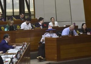 Fuego cruzado y marcada división entre diputados “payistas” - Política - ABC Color
